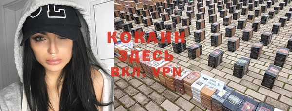 spice Кукмор