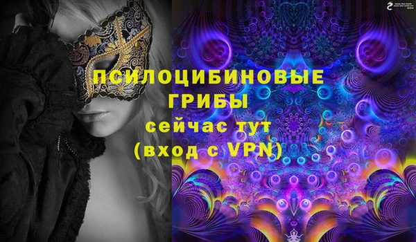 spice Кукмор